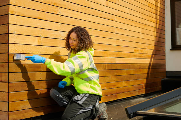 Best Storm Damage Siding Repair  in Jackson, TN